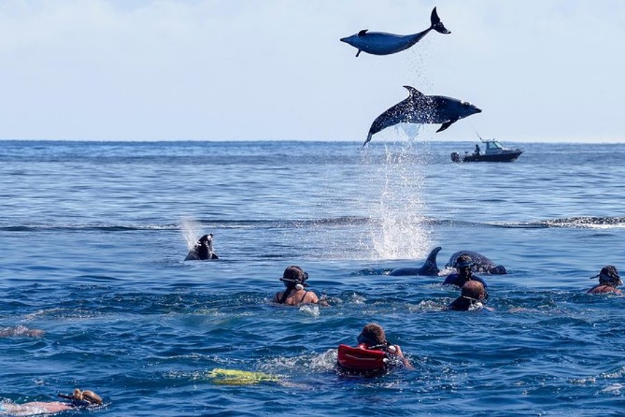 Mnemba & Kendwa Escape – Snorkeling & Beach Relaxation