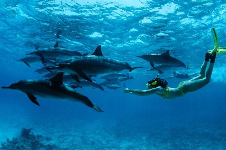 Mnemba & Kendwa Escape – Snorkeling & Beach Relaxation